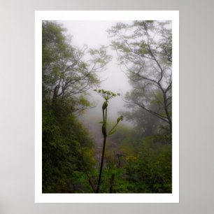 Mystischer Morgen auf Appalachian Trail Poster