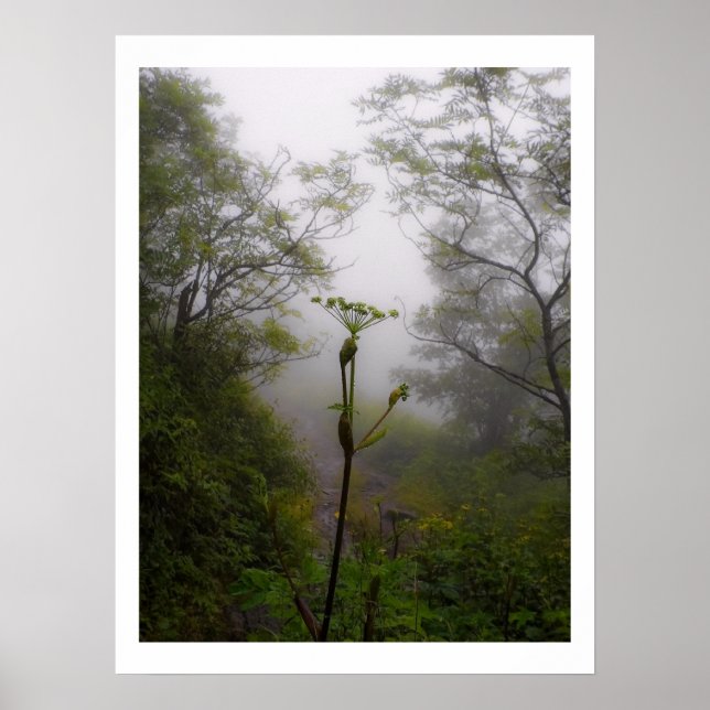 Mystischer Morgen auf Appalachian Trail Poster (Vorne)