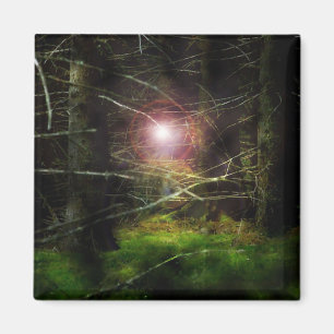Mystischer Wald Magnet