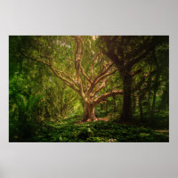 Mystischer Wald