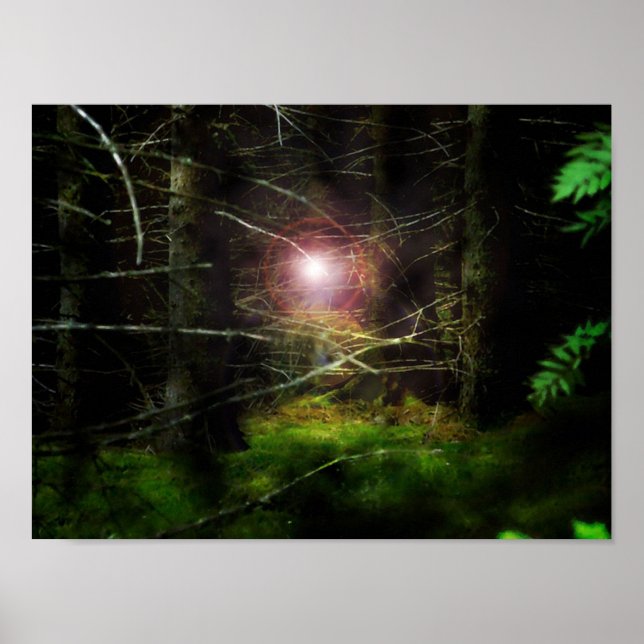 Mystischer Wald Poster (Vorne)