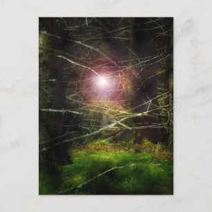 Mystischer Wald Postkarte