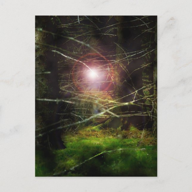 Mystischer Wald Postkarte (Vorderseite)