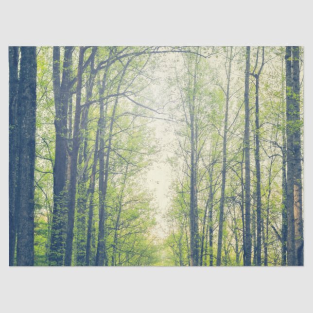 Mystischer Wald Seidenpapier (Vorderseite)