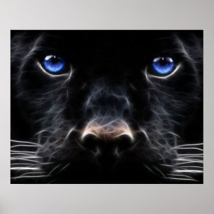 Mystisches blaues mit Augen Katzen-Plakat Poster