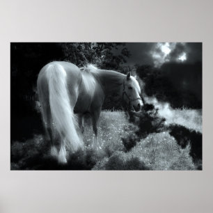 mystisches Nachtpferd Poster