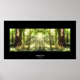 Mystisches Sonnenlicht durch das Forest Foto Art P Poster