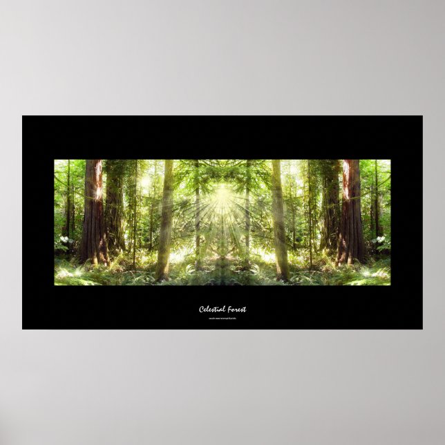 Mystisches Sonnenlicht durch das Forest Foto Art P Poster (Vorne)