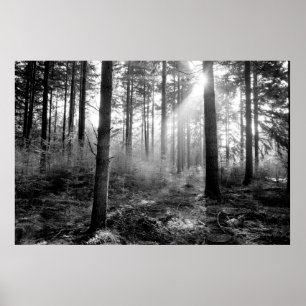 mystisches Waldposter Poster
