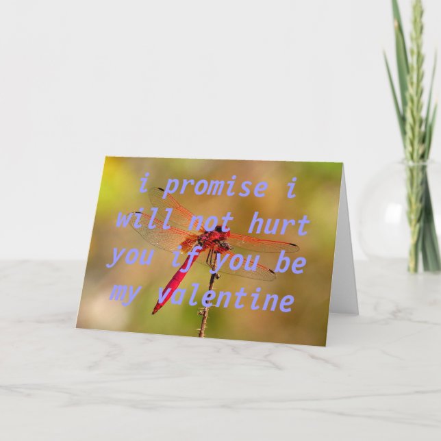 Mythen vertreiben feiertagskarte (Vorderseite)