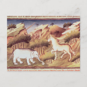 Mythische Tiere in der Natur Postkarte