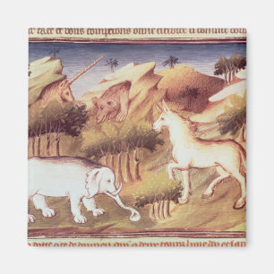 Mythische Tiere in der Wildnis Magnet