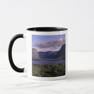 N.A., Kanada, Neufundland, Gros Morne National 2 Tasse