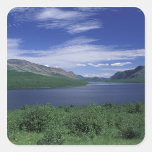 N.A., Kanada, Neufundland, Grose Morne Trout Quadratischer Aufkleber