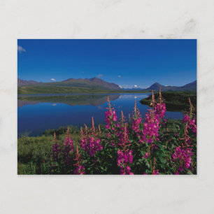 N.A., USA, Alaska, Alaska-Gebirgszug Postkarte