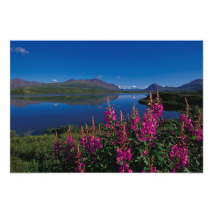 N.A., USA, Alaska, Alaska Range Common Fotodruck
