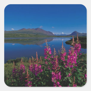 N.A., USA, Alaska, Alaska Range Common Quadratischer Aufkleber