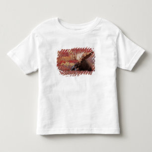 N.A., USA, Alaska, Denali-Nationalpark, Bull Kleinkind T-shirt