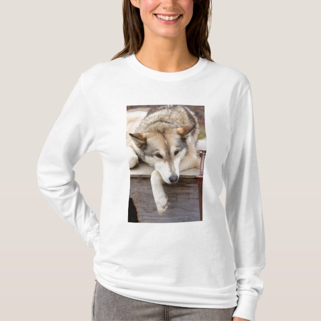 N.A., USA, Alaska Husky-Schlitten T-Shirt (Vorderseite)