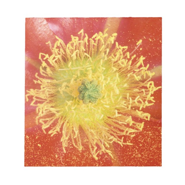 N.A., USA, Arizona, Casa Grande, NM, Wüste Notizblock (Vorderseite)