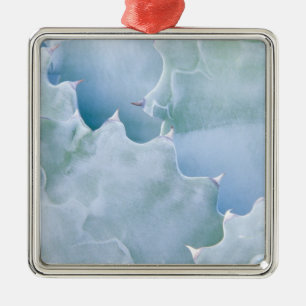 N.A., USA, Arizona, Tucson, Sonora Desert 2 Ornament Aus Metall