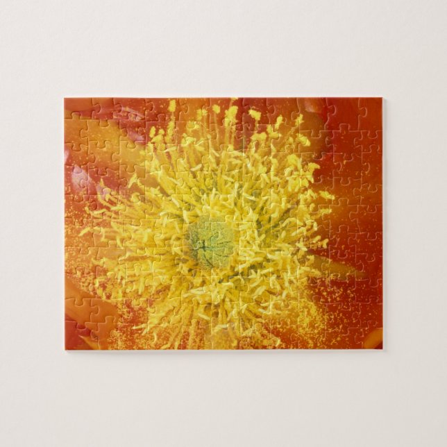 N.A., USA, Arizona, Tucson, Sonora Desert 3 Puzzle (Horizontal)