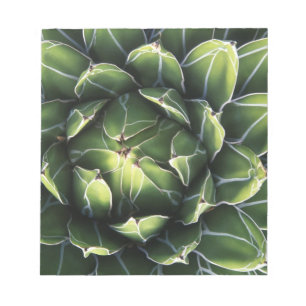 N.A., USA, Arizona, Tucson, Sonora Desert Notizblock