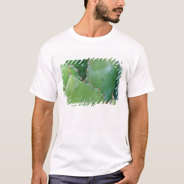 N.A., USA, Arizona, Tucson, Sonora Desert T-Shirt (Vorderseite)