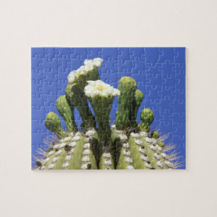 N.A., USA, Arizona, Tucson, Sonora-Wüste 2 Puzzle