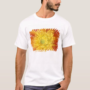 N.A., USA, Arizona, Tucson, Sonora-Wüste 3 T-Shirt