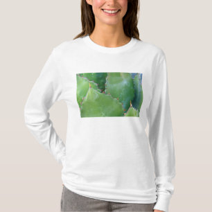 N.A., USA, Arizona, Tucson, Sonora-Wüste T-Shirt