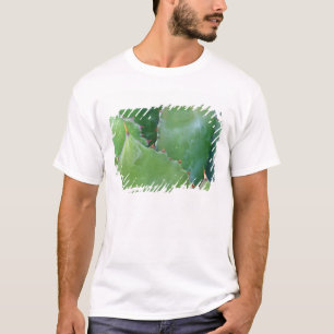N.A., USA, Arizona, Tucson, Sonora-Wüste T-Shirt