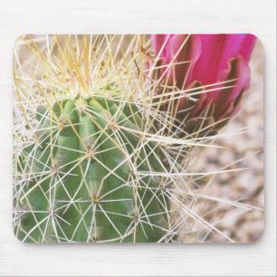 N.A., USA, AZ, Phoenix, Botanischer Garten Mousepad