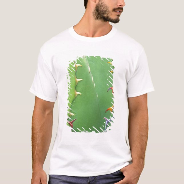N.A., USA, AZ, Phoenix, Wüste Botanical 2 T-Shirt (Vorderseite)