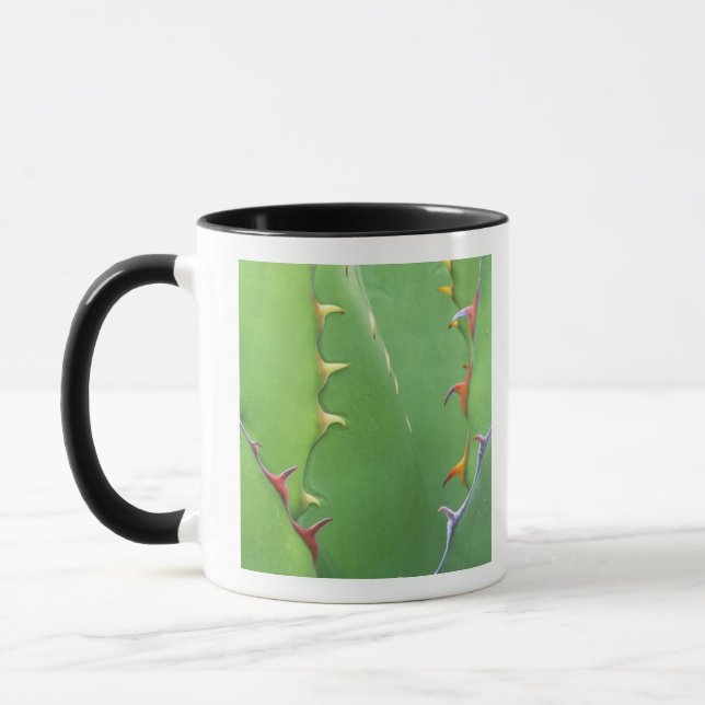 N.A., USA, AZ, Phoenix, Wüste Botanical 2 Tasse (Links)