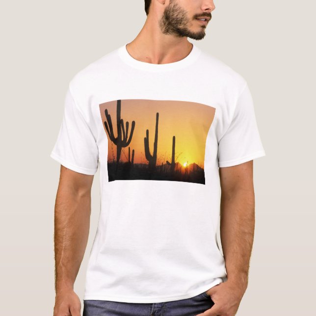 N.A., USA, AZ, Saguaro NP, Saguaro Sunset T-Shirt (Vorderseite)