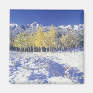 N.A., USA, Colorado, San Juan Mts Frischer Schnee Magnet
