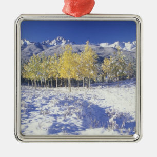N.A., USA, Colorado, San Juan Mts Frischer Schnee Silbernes Ornament