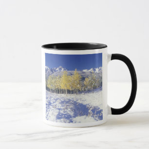 N.A., USA, Colorado, San Juan Mts Frischer Schnee Tasse