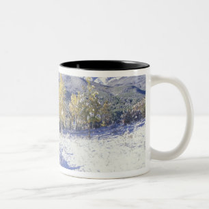N.A., USA, Colorado, San Juan Mts Frischer Schnee Zweifarbige Tasse