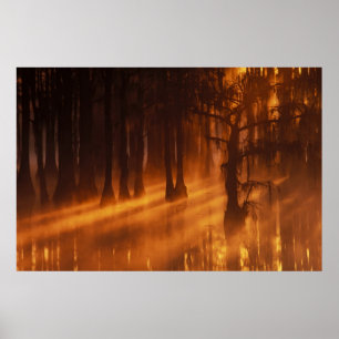 N.A., USA, Georgia, George Smith Staat Park. Poster