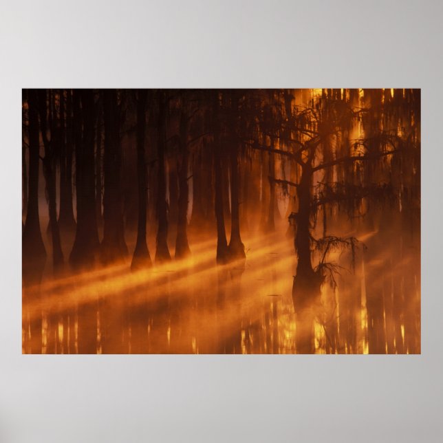 N.A., USA, Georgia, George Smith Staat Park. Poster (Vorne)