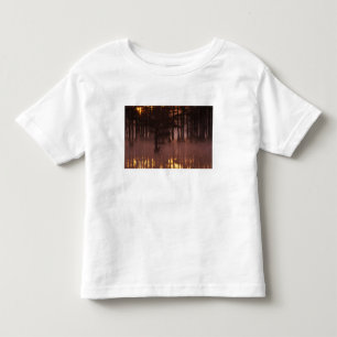N.A., USA, Georgia, George Smith State Park. Kleinkind T-shirt