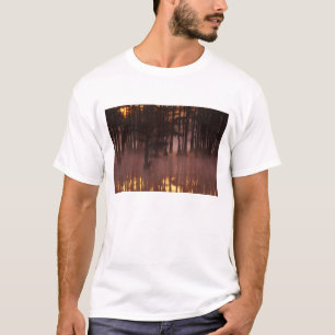 N.A., USA, Georgia, George Smith State Park. T-Shirt