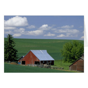 N.A., USA, Idaho, Latah County bei Genesee.