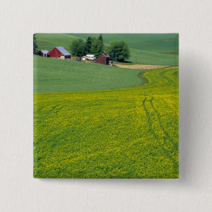 N.A., USA, Idaho, Latah Landkreis, in der Nähe vo Button