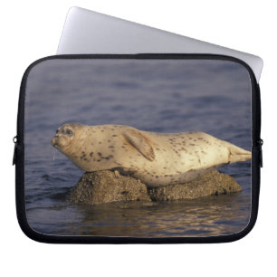 N.A., USA, Kalifornien, Monterey. Harbour Siegel Laptopschutzhülle