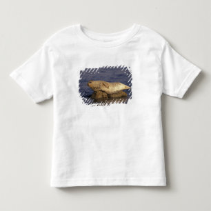 N.A., USA, Kalifornien, Monterey. Seehund Kleinkind T-shirt