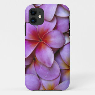 N.A., USA, Maui, Hawaii. Rosa Plumeria-Blüten. Case-Mate iPhone Hülle