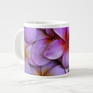 N.A., USA, Maui, Hawaii. Rosa Plumeria-Blüten. Jumbo-Tasse